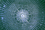 Image link